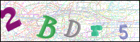 Bestätigung